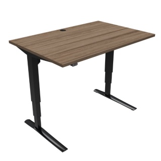 Biurko regulowane elektrycznie 501-43, 100x80 cm