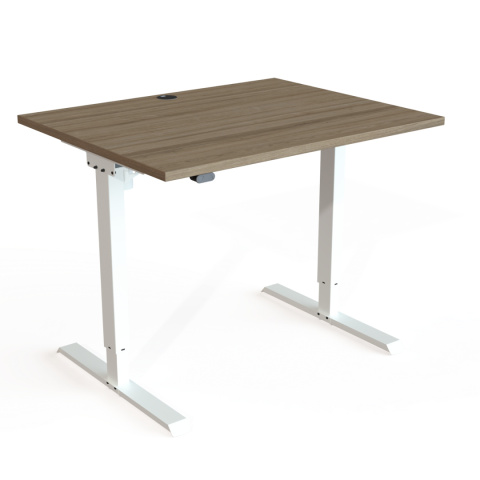 Biurko z elektryczną regulacją wysokości 501-20, 100x80 cm Biurko z elektryczną regulacją wysokości 501-20, 100x80 cm
