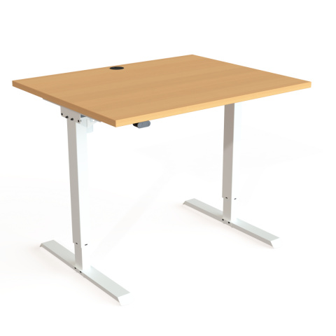 Biurko z elektryczną regulacją wysokości 501-20, 100x60cm Biurko z elektryczną regulacją wysokości 501-20, 100x60cm