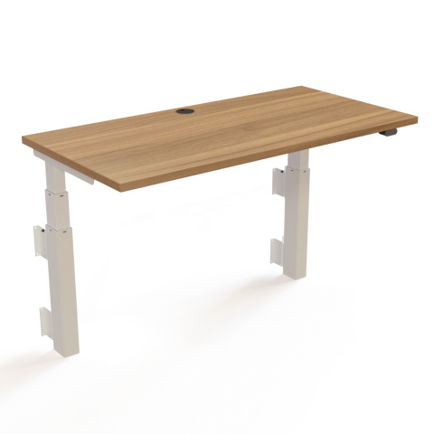 Biurko podnoszone elektrycznie 501-39, 120x60 cm / 120x80 cm Biurko podnoszone elektrycznie 501-39, 120x60 cm / 120x80 cm