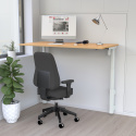 Biurko podnoszone elektrycznie 501-39, 180x80 cm