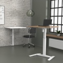 Biurko ścienne regulowane elektrycznie 501-9, 80x60 cm