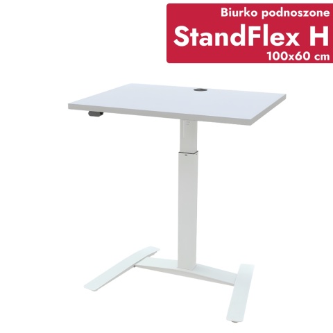 Biurko komputerowe regulowane StandFlex H, 100x60 cm